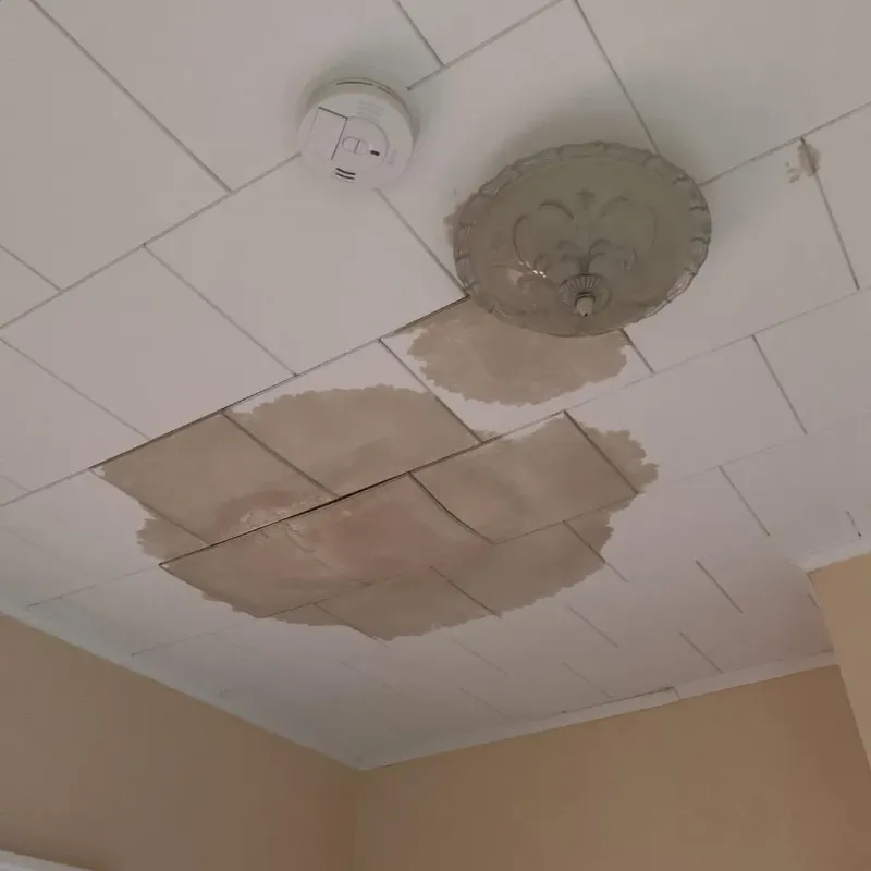 Ceiling Water Damage Repair in Bloomfield, IA