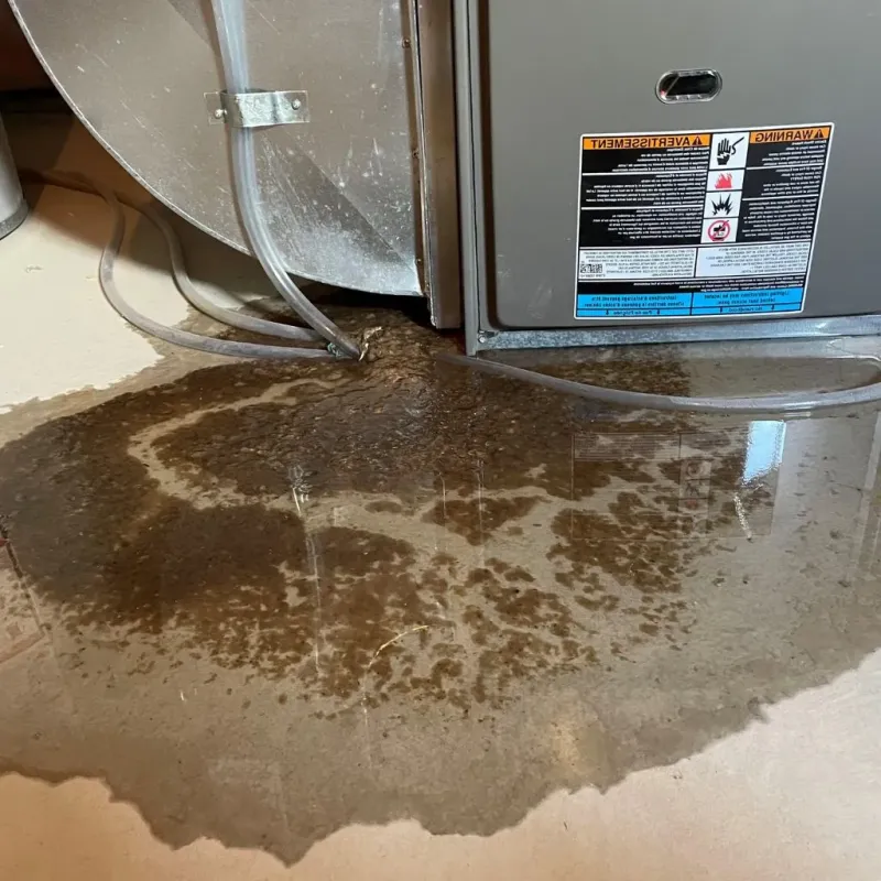 Pipe Burst and Leak Restoration in Bloomfield, IA