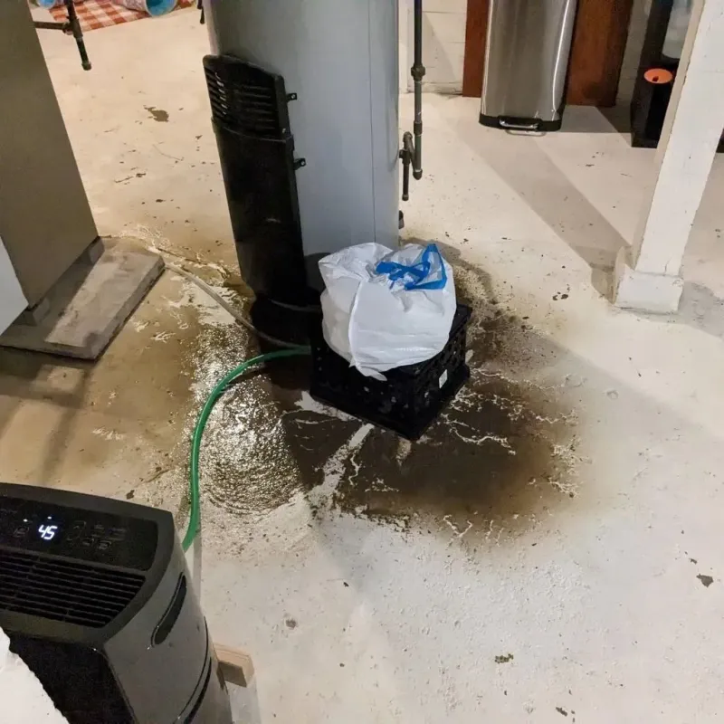 Sewage Backup Cleanup Service in Bloomfield, IA